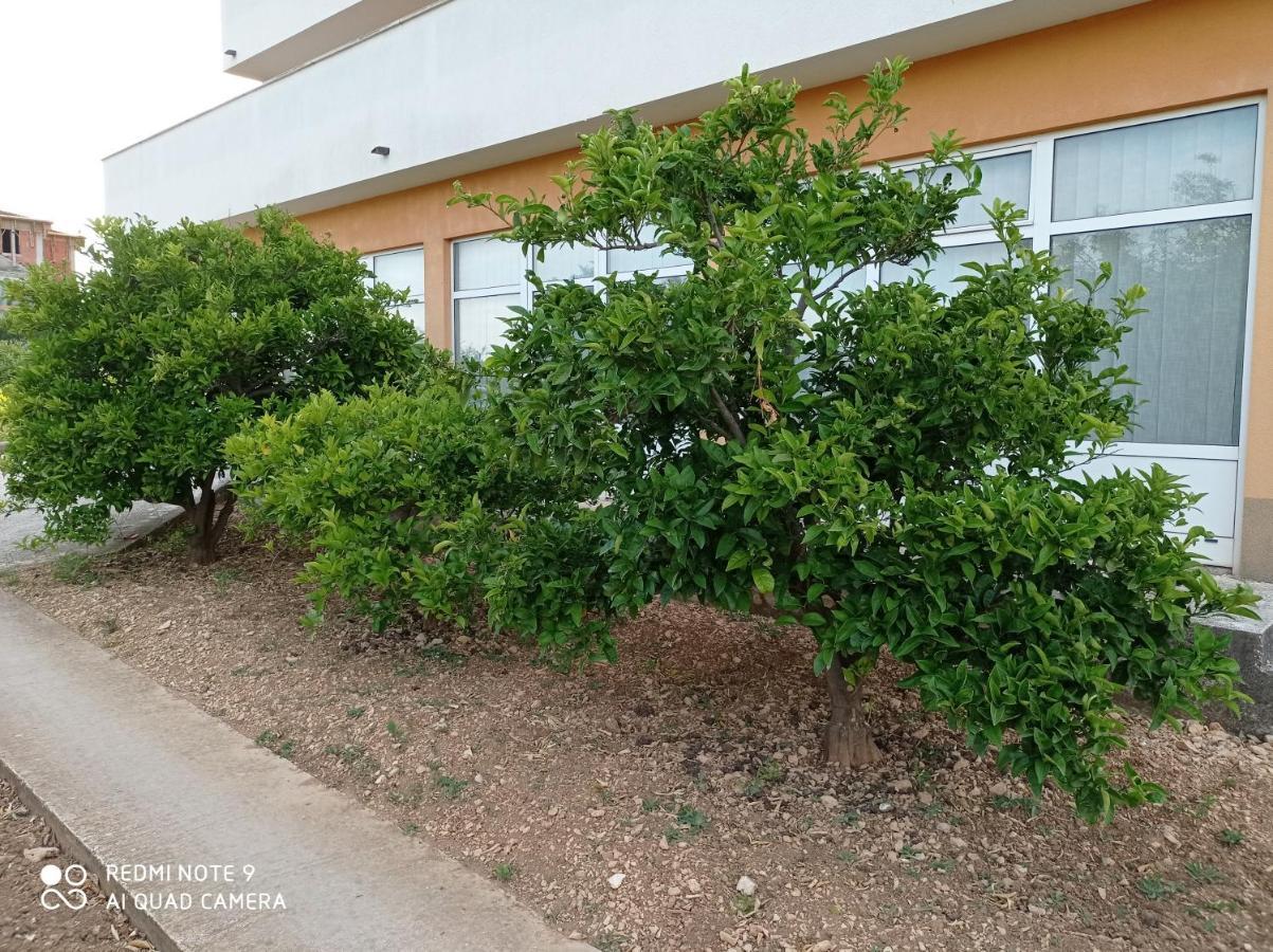 Studio Apartment With Balcony Trogir Dış mekan fotoğraf